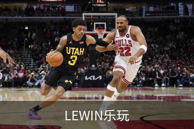 LEWIN乐玩公司介绍图